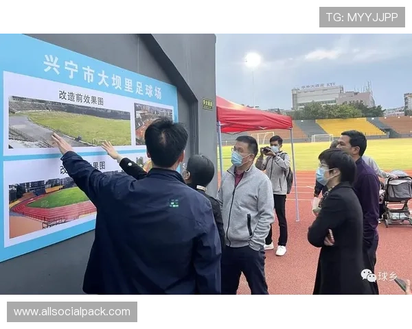 体育外围平台有哪些优势与风险，全面解析如何安全参与体育博彩活动
